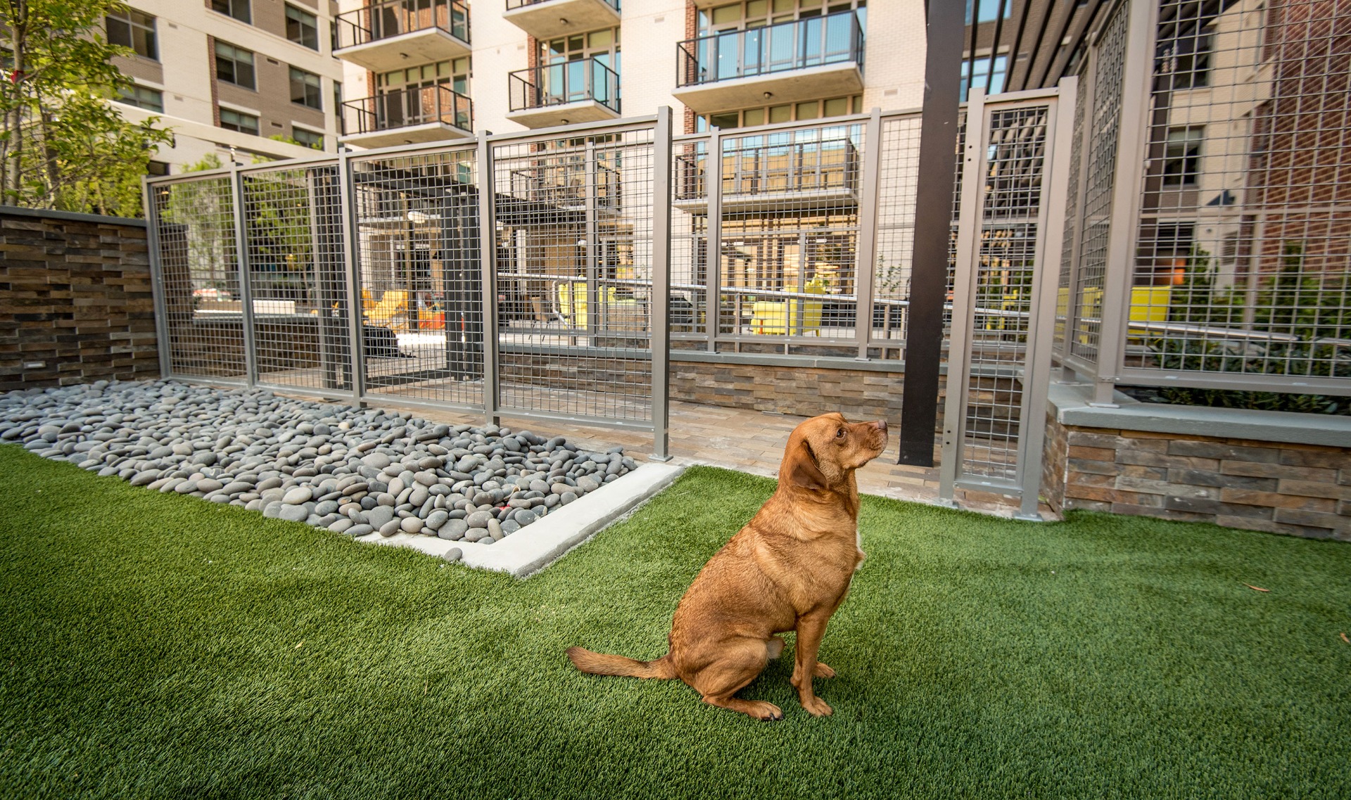 AVA_NoMa_001_2700x1600_Hero