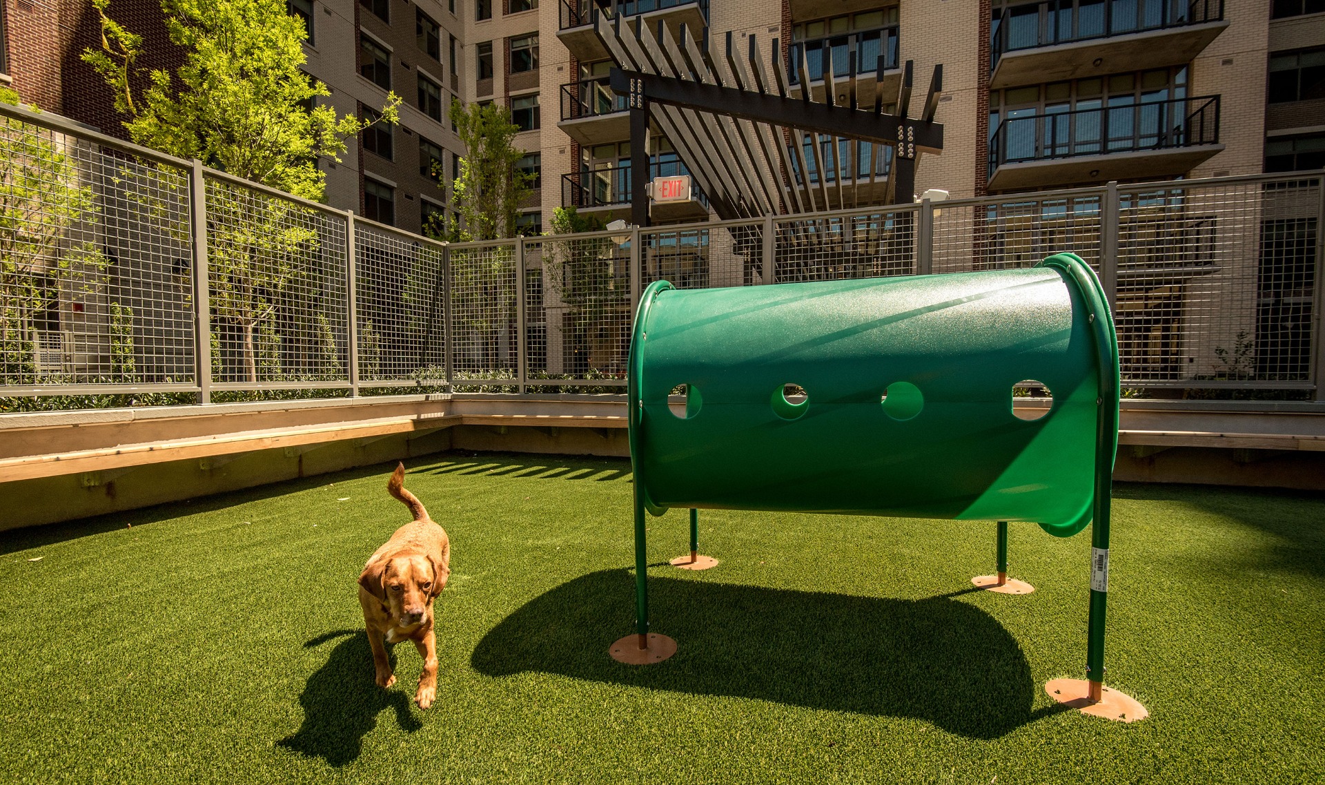 AVA_NoMa_002_2700x1600