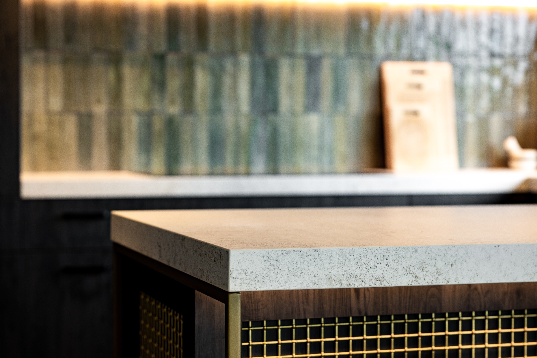 Yellow_Fox_-08-0002739