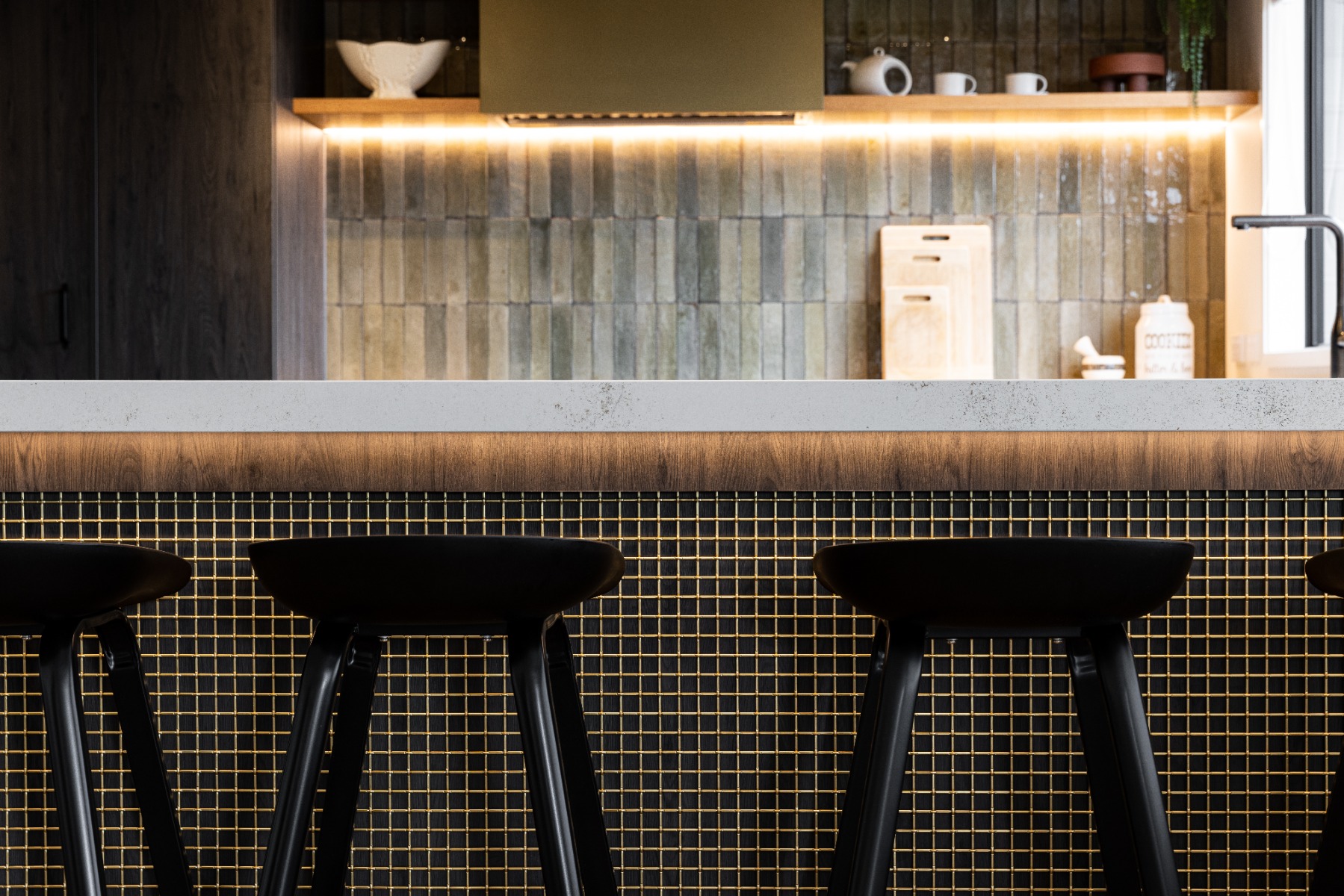 Yellow_Fox_-80-0002736