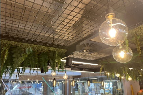 Why You Should Consider Using Wire Mesh in Your Design