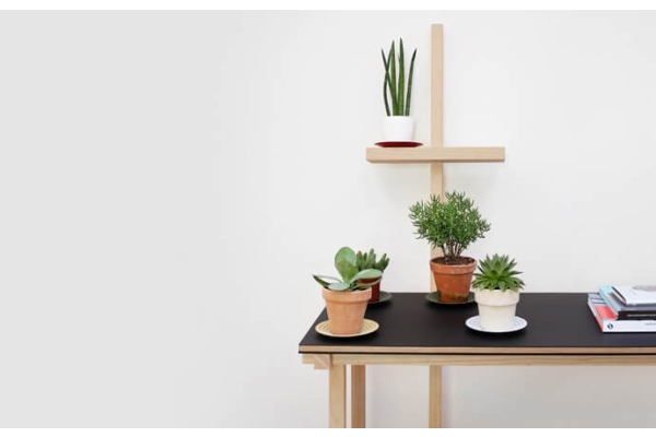 Top 10 Methods Interior Designers Use to Transform a Space