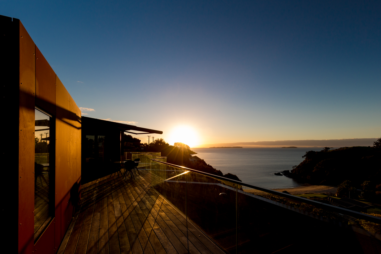 Yellow-Fox-200-0002196-1