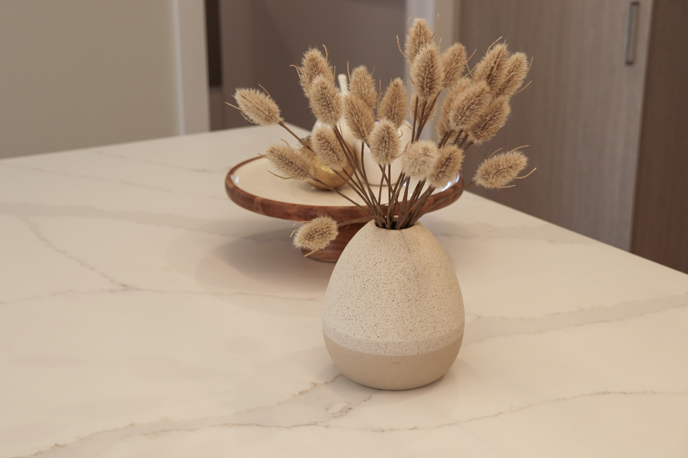 20240726154037_IMG_6433